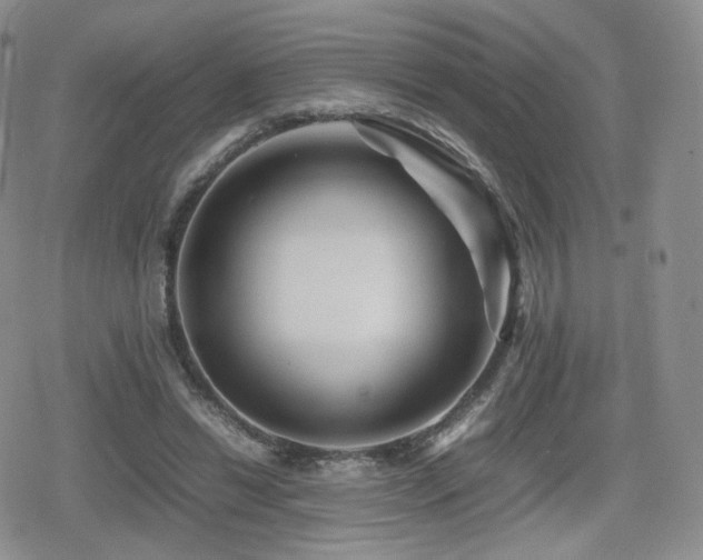 X0000080110446200612081231