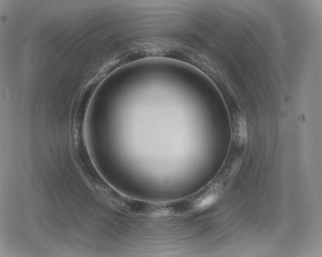X0000080110456200612081231