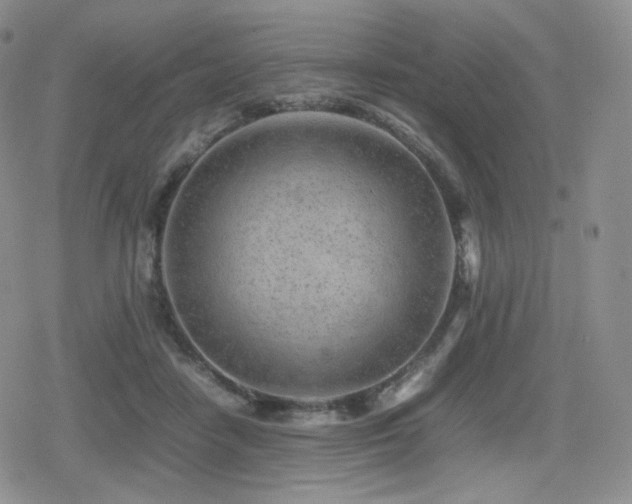 X0000080110458200612081231