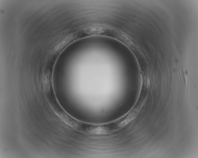 X0000080110460200612081231
