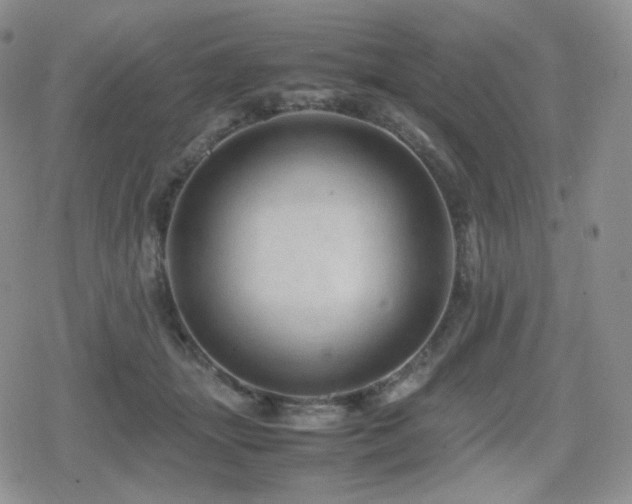 X0000080110463200612081231