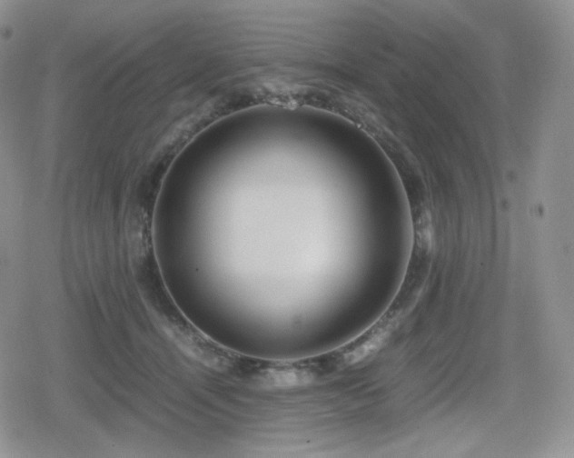 X0000080110464200612081231