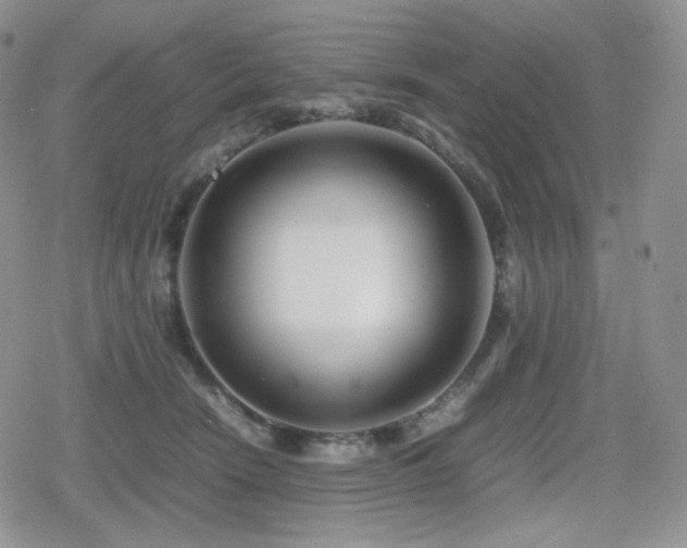 X0000080110466200612081231