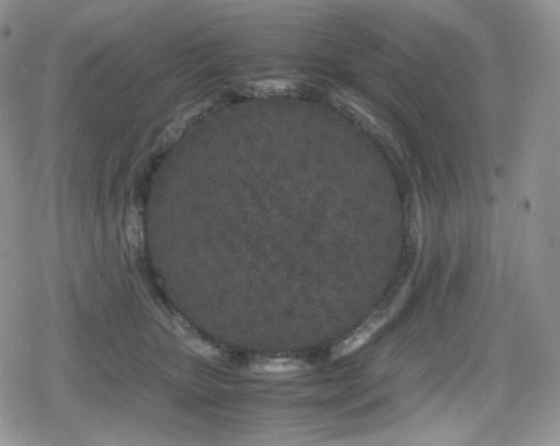 X0000080110467200612081231