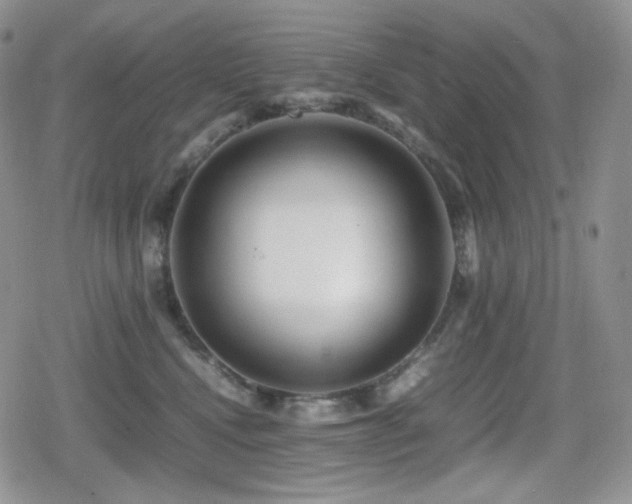 X0000080110472200612081231
