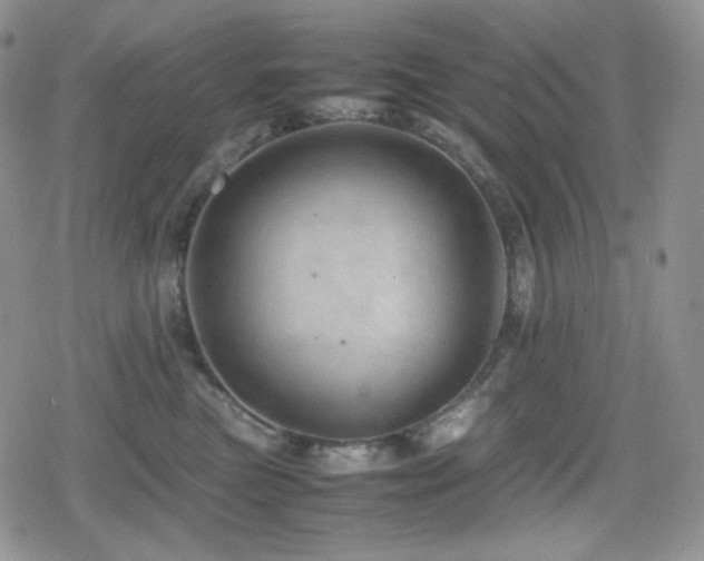 X0000080110473200612081231