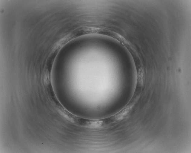 X0000080110474200612081231