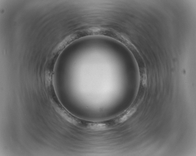 X0000080110476200612081231