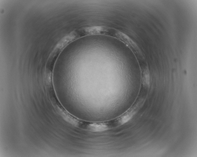X0000080110477200612081231