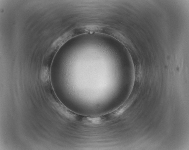 X0000080110478200612081231