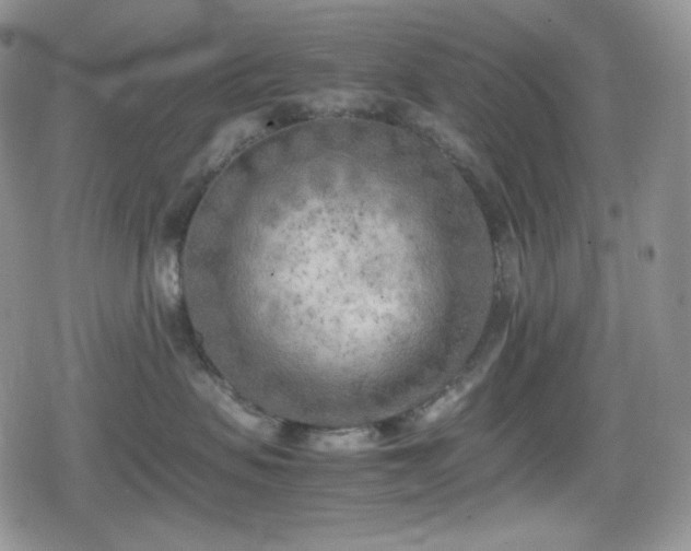 X0000080110479200612081232