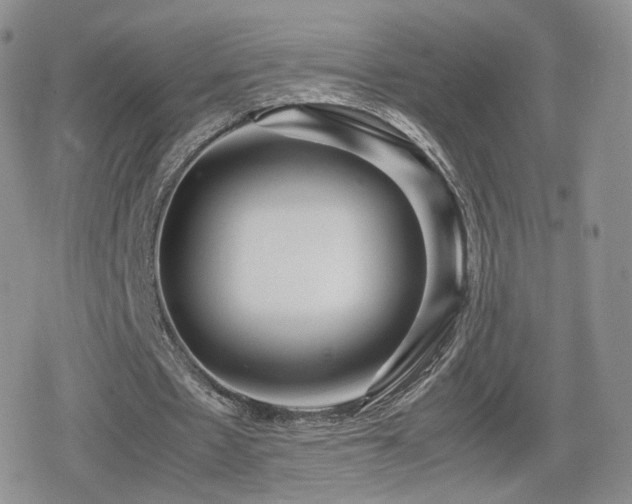 X0000080110481200612081231