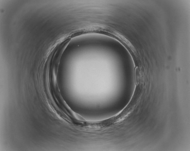 X0000080110485200612081231