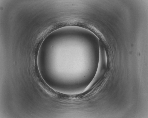 X0000080110493200612081231