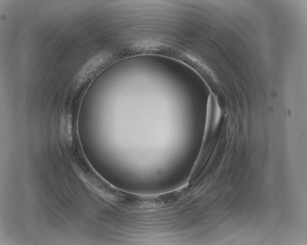 X0000080110494200612081231