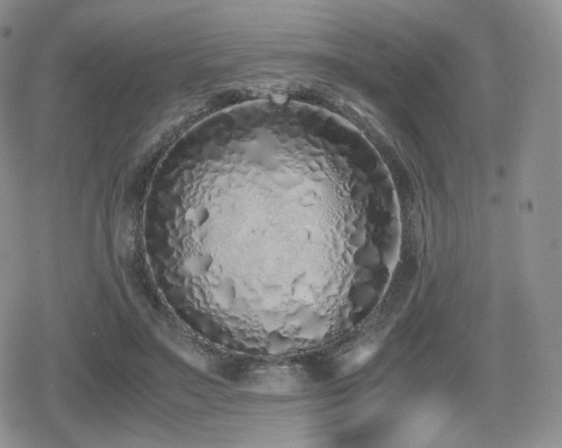 X0000080110499200612081230