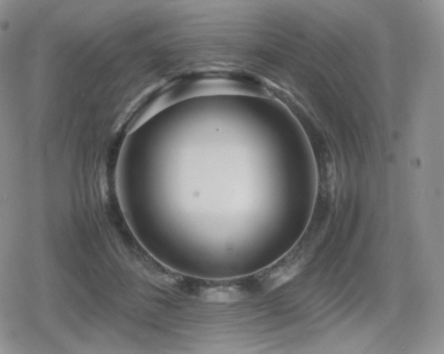 X0000080110508200612081230