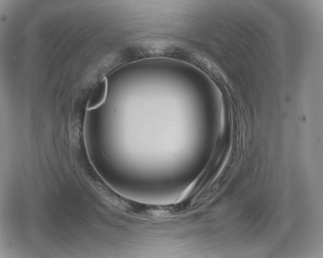 X0000080110509200612081230