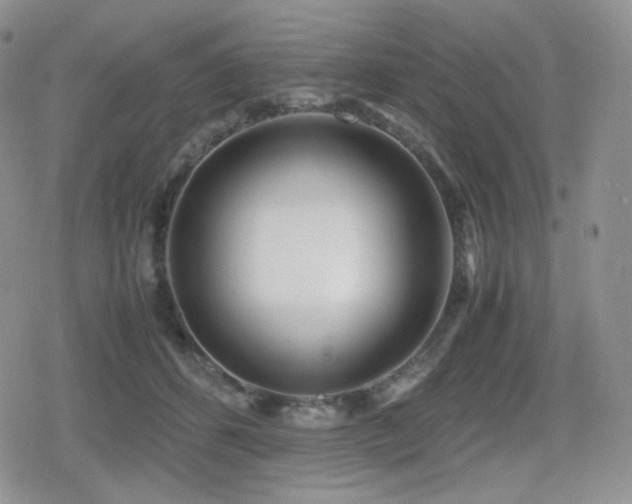 X0000080110512200612081230