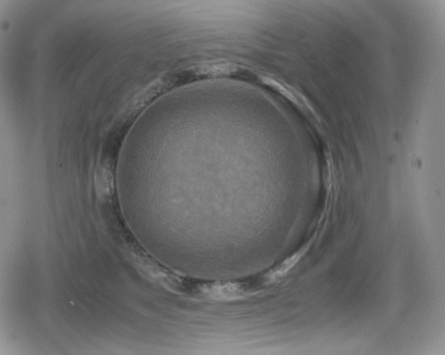 X0000080110517200612081230