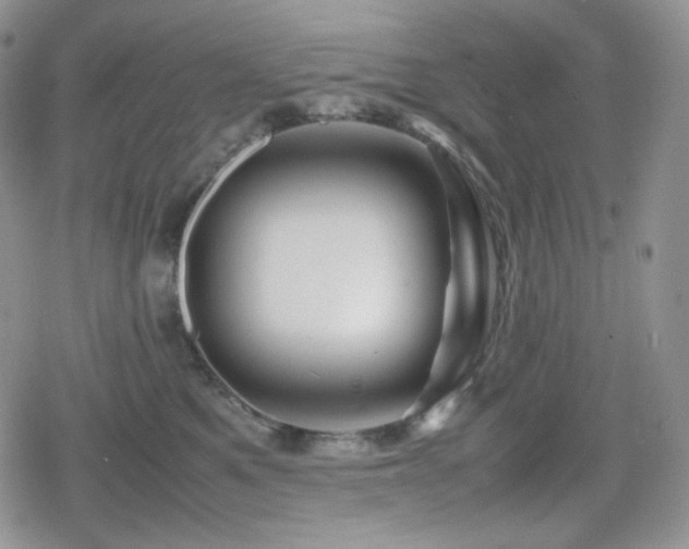 X0000080110521200612081230