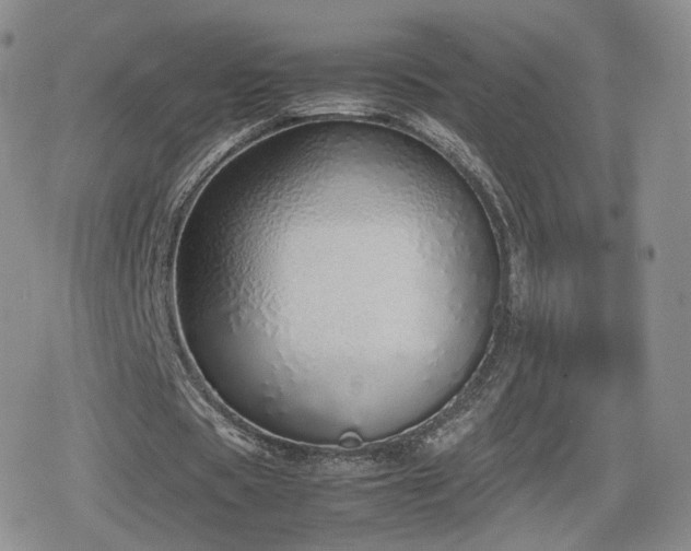 X0000080110529200612081229