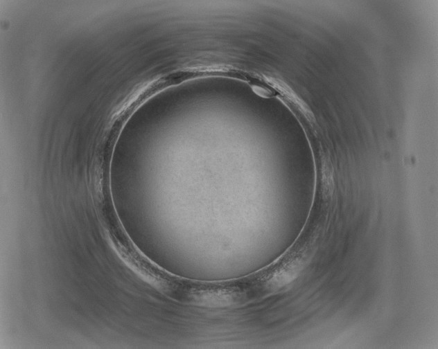 X0000080110533200612081229