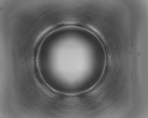 X0000080110535200612081229