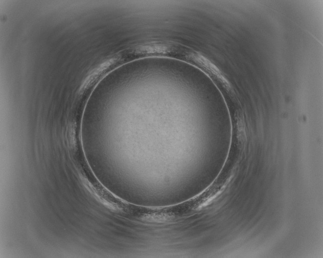 X0000080110537200612081229