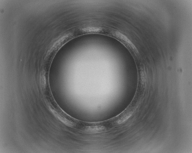 X0000080110541200612081229