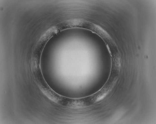 X0000080110546200612081229