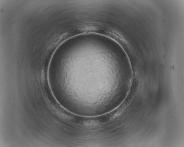 X0000080110549200612081230