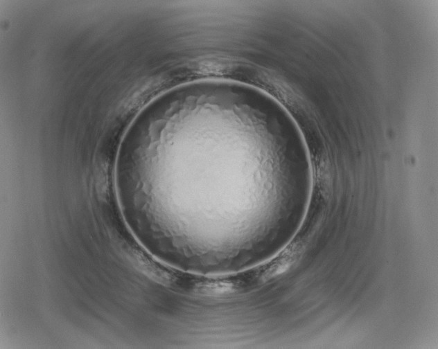 X0000080110554200612081230