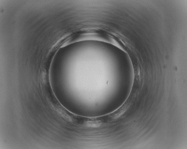 X0000080110556200612081230