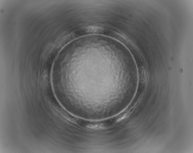 X0000080110557200612081230