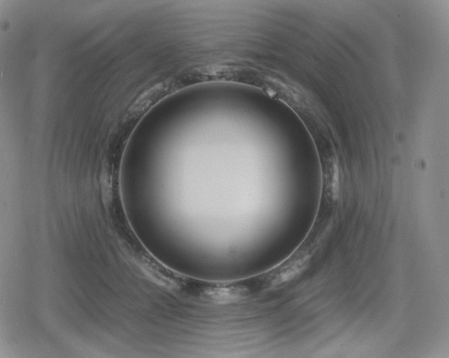 X0000080110558200612081230