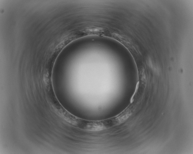 X0000080110559200612081230