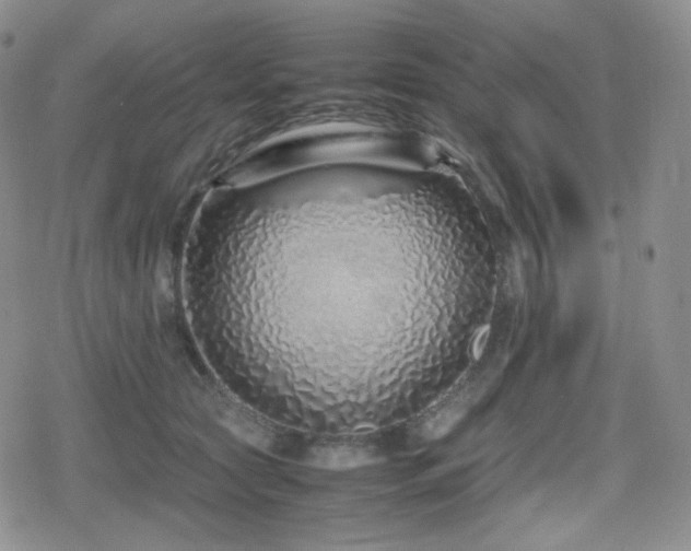 X0000080110561200612081230