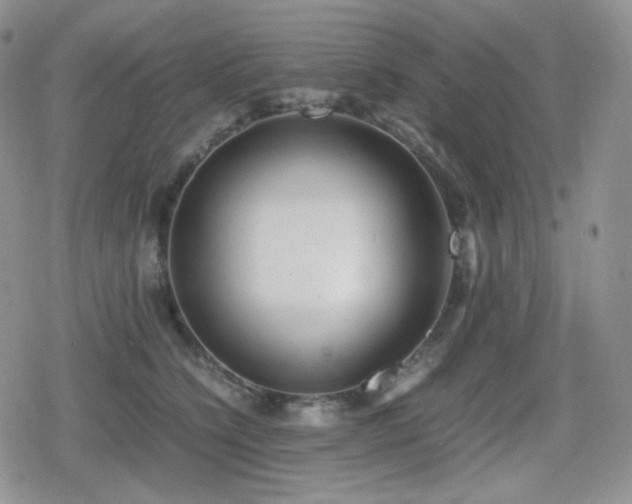 X0000080110564200612081230