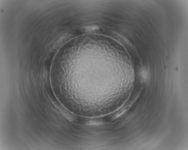 X0000080110565200612081230
