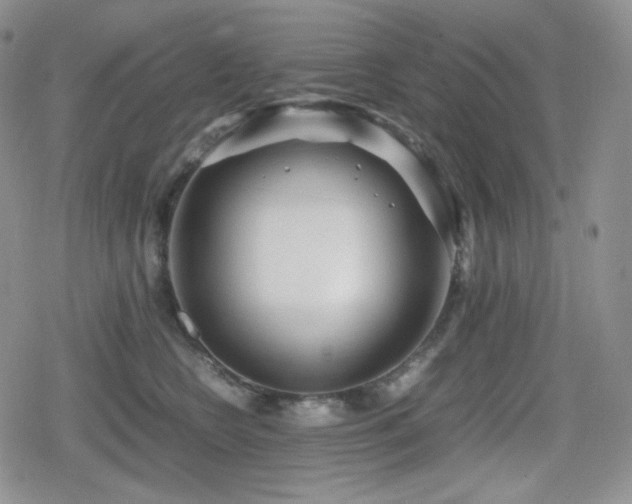 X0000080110566200612081230