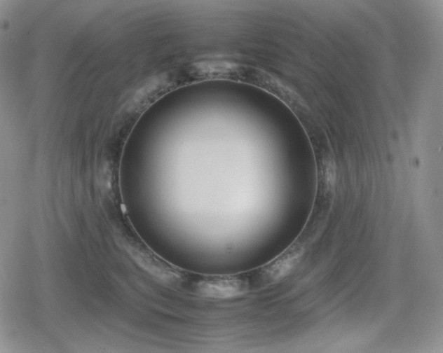 X0000080110567200612081230