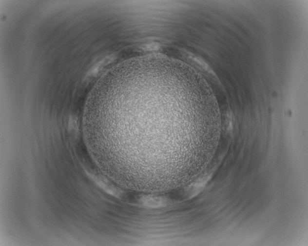 X0000080110568200612081230