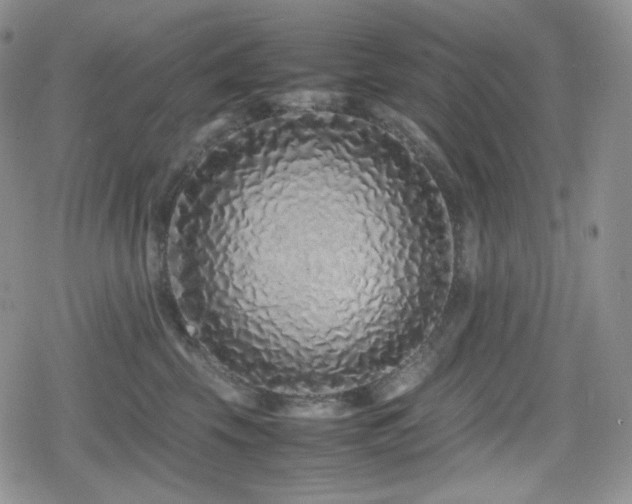 X0000080110569200612081230