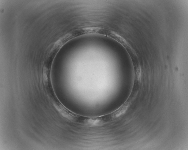 X0000080110570200612081230