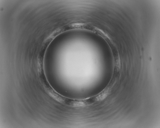 X0000080110572200612081230