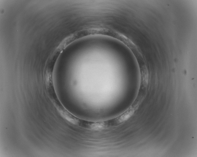 X0000080110574200612081230