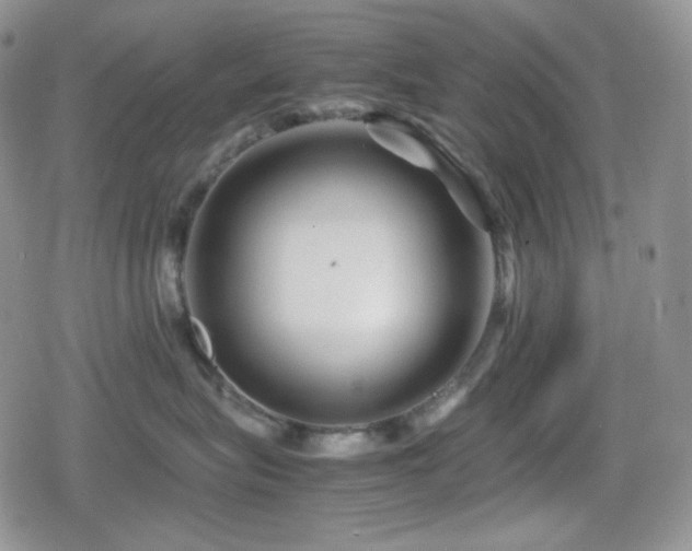 X0000080110575200612081230