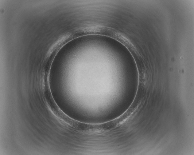 X0000080110586200612081229