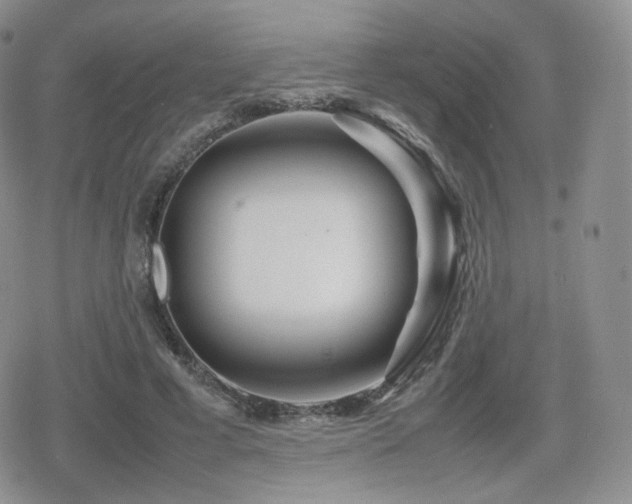 X0000080110593200612081229